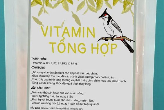 Top 4 Loại Vitamin Tổng Hợp Cho Chim Chào Mào